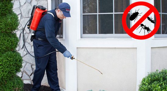 Baykan Hamam Böceği İlaçlama böcek ilaçlama ve haşere kontrolü — ilaclama-tr.com